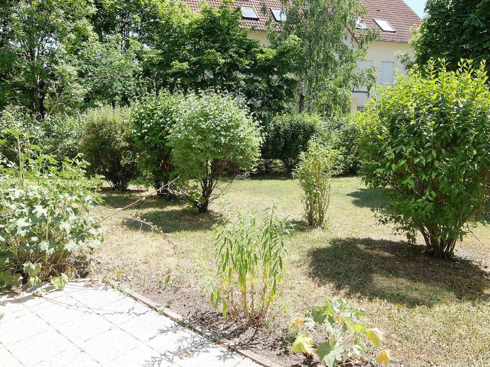 Grünfläche am Objekt
