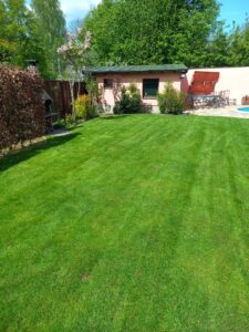 Gartenimpressionen