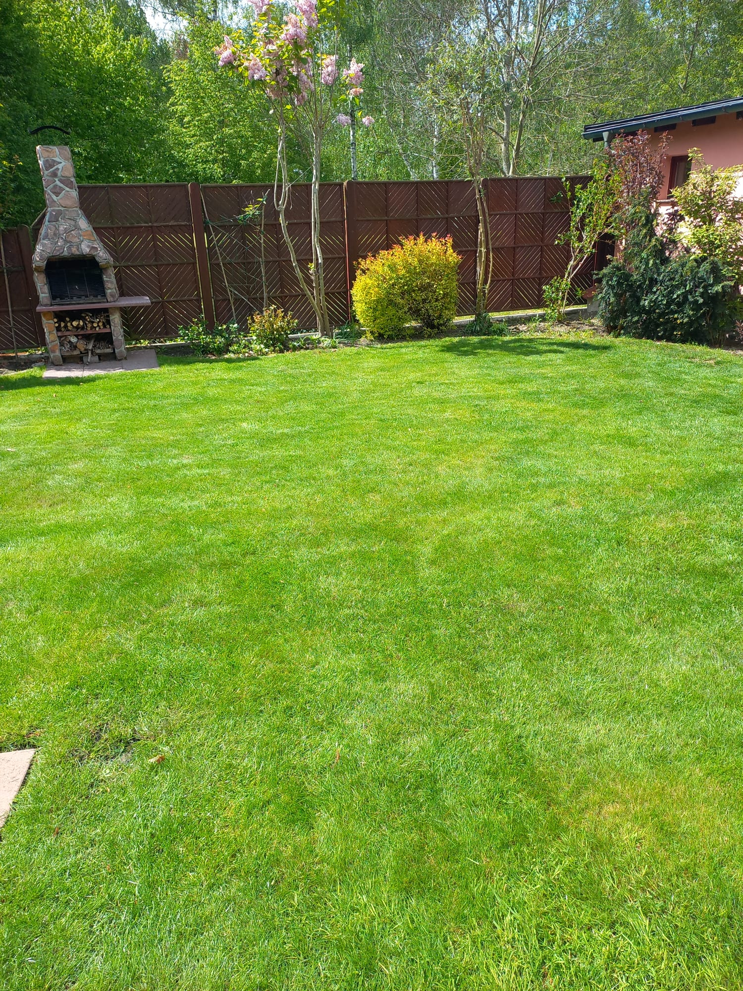 Gartenimpressionen