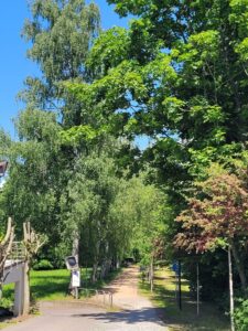Park hinter dem Haus