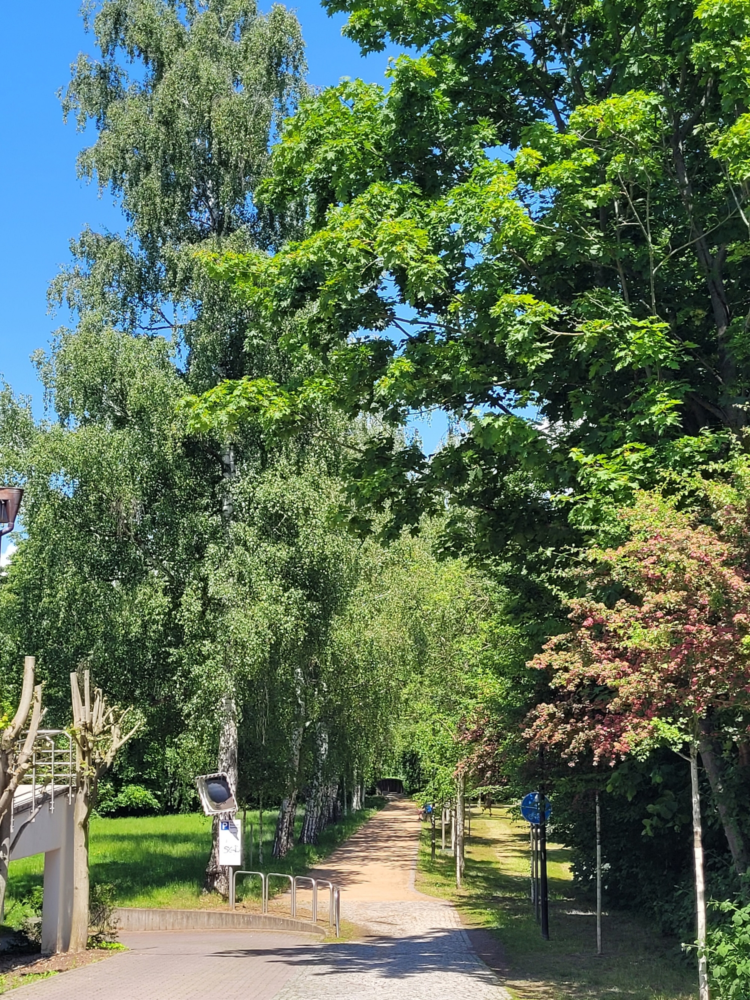Park hinter dem Haus