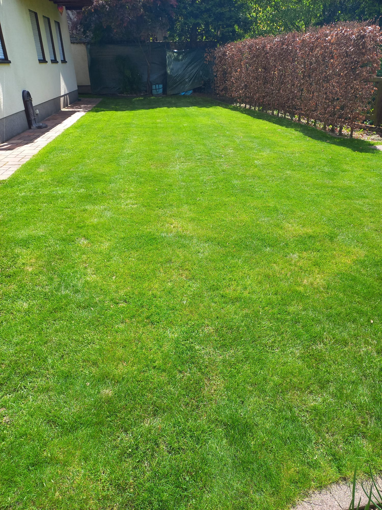 Gartenimpressionen