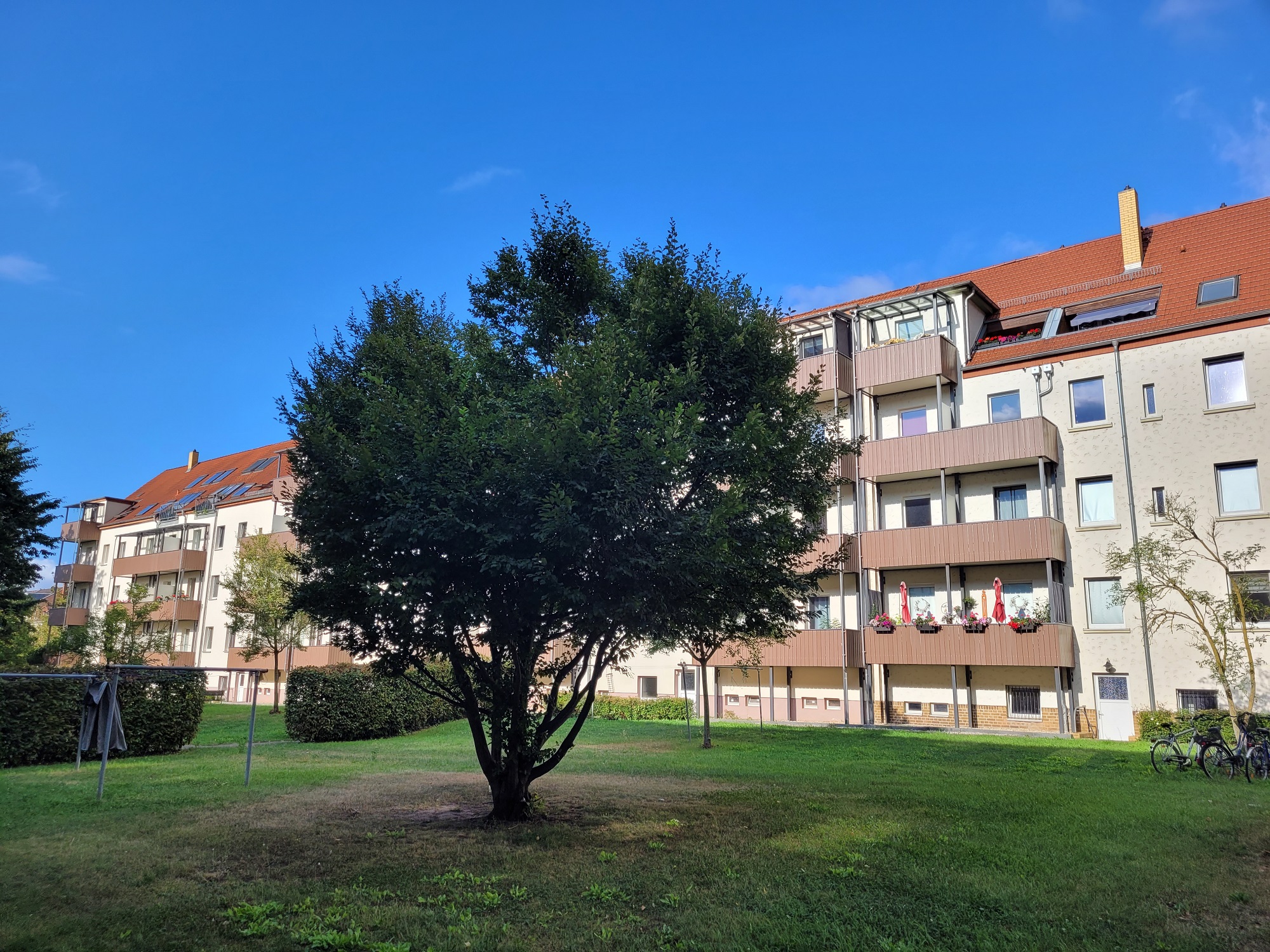 Innenhof bzw. Mietergemeinschaftsgarten