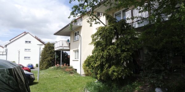 grüne Aussichten