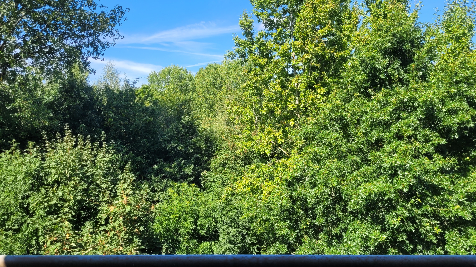 Ausblick