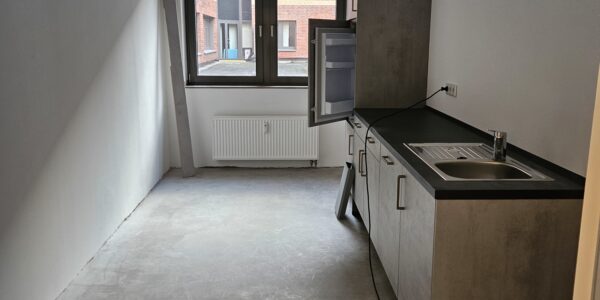 Ansicht Ritterhaus Halle