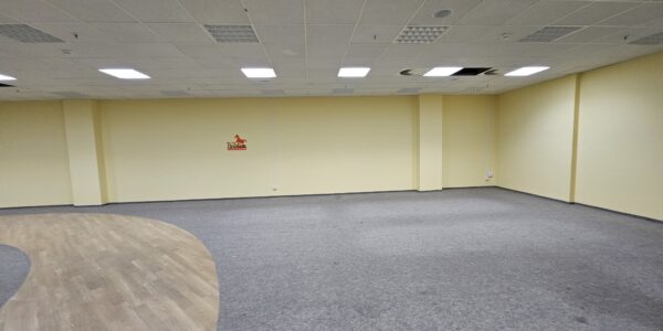 Ansicht Ritterhaus Halle