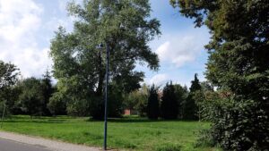 Grünfläche vor dem Objekt