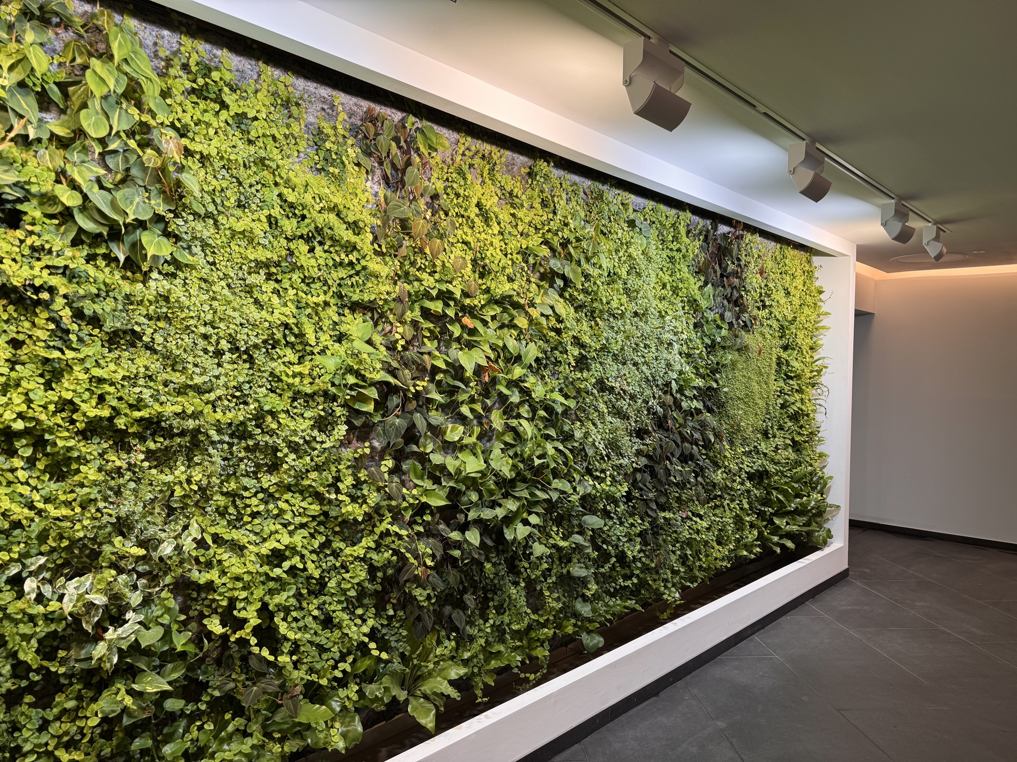 repräsentativer Eingangsbereich