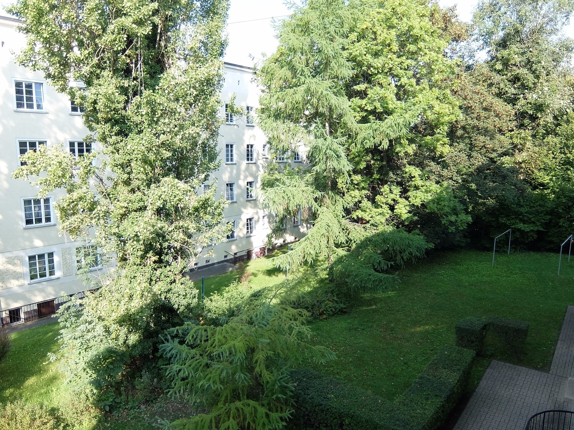 Grünfläche am Objekt