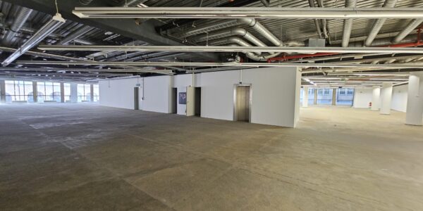 Hausansicht Neumarkt 20 Timonhaus