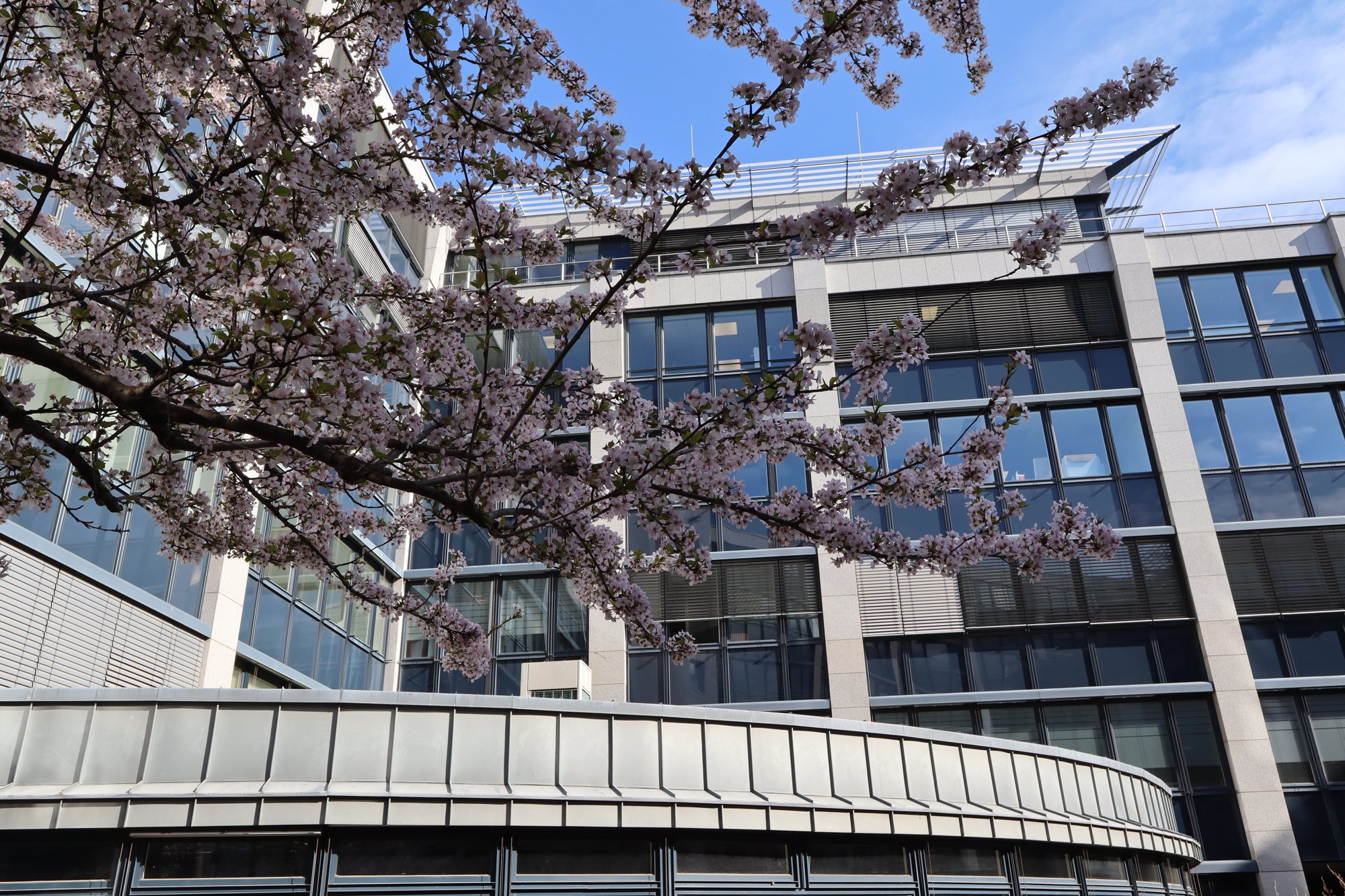 Ansicht Kohlgartenstraße 13