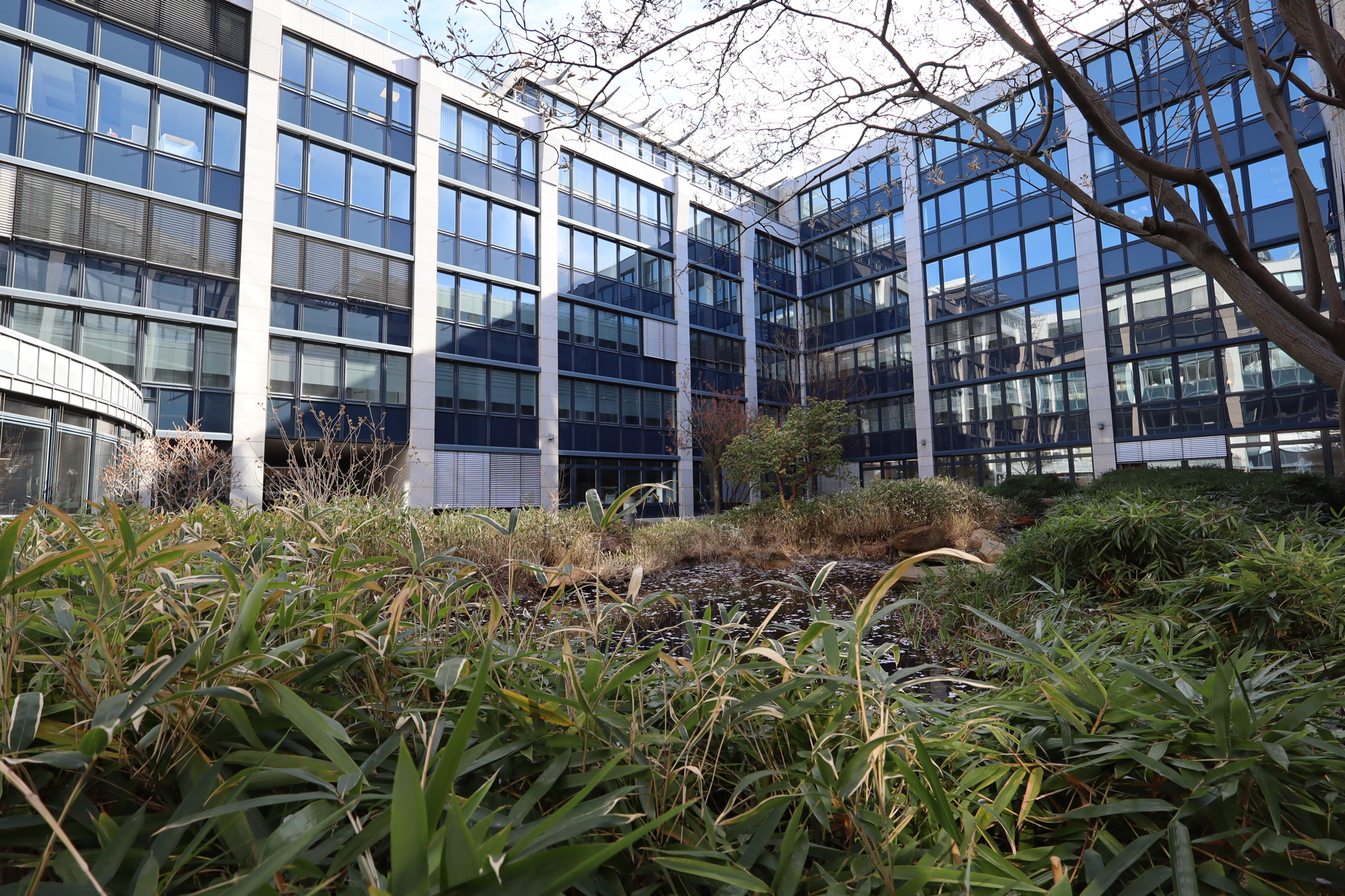 Ansicht Kohlgartenstraße 13