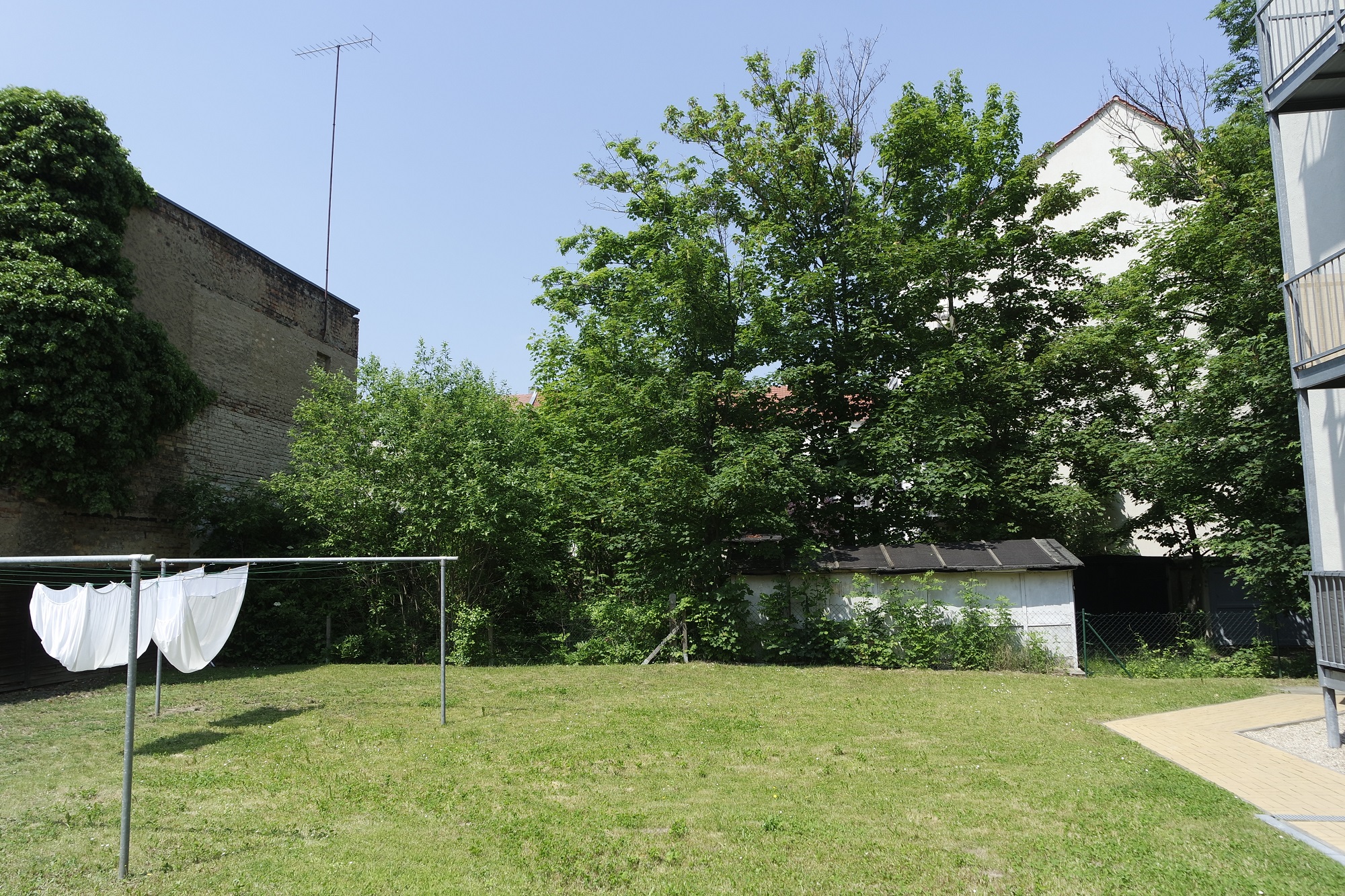 Mietergemeinschaftsgarten