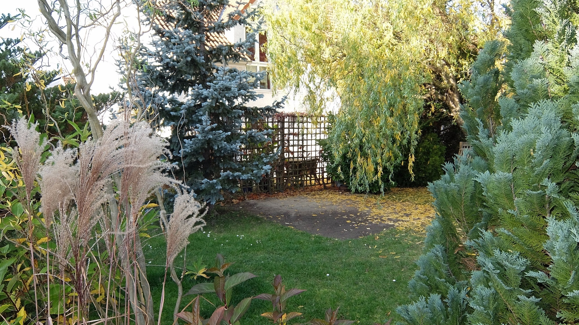 Garten Garten