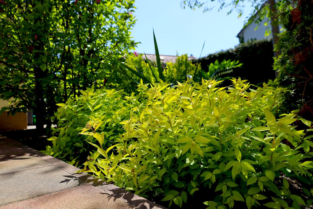 Garten