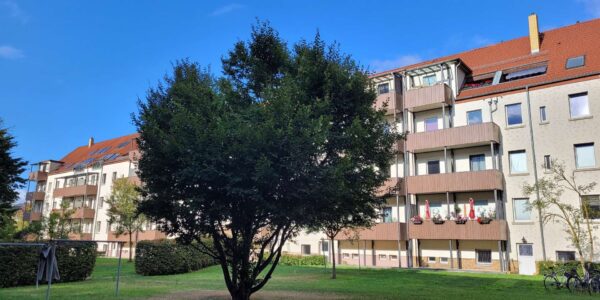 Mietergemeinschaftsgarten