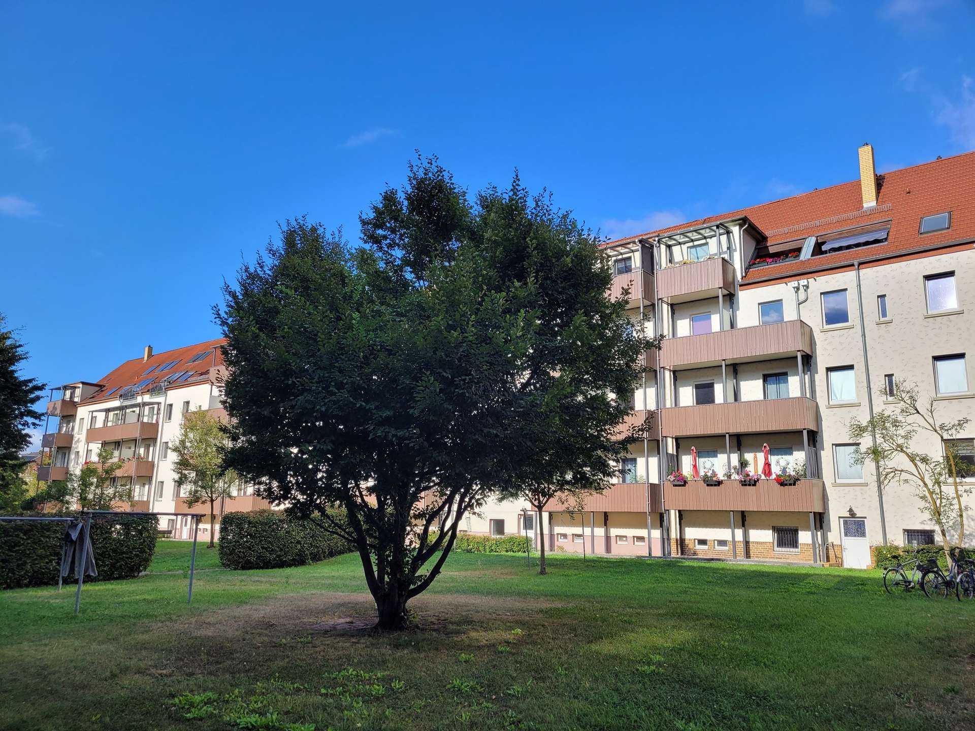 Mitergemeinschaftsgarten Mitergemeinschaftsgarten