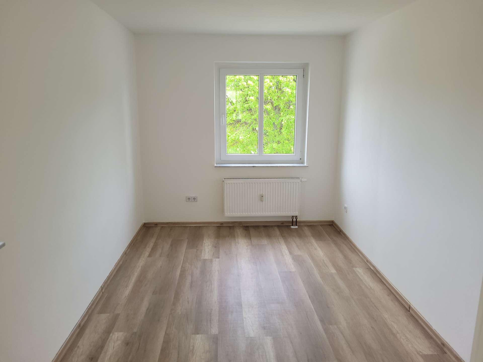 Zimmer