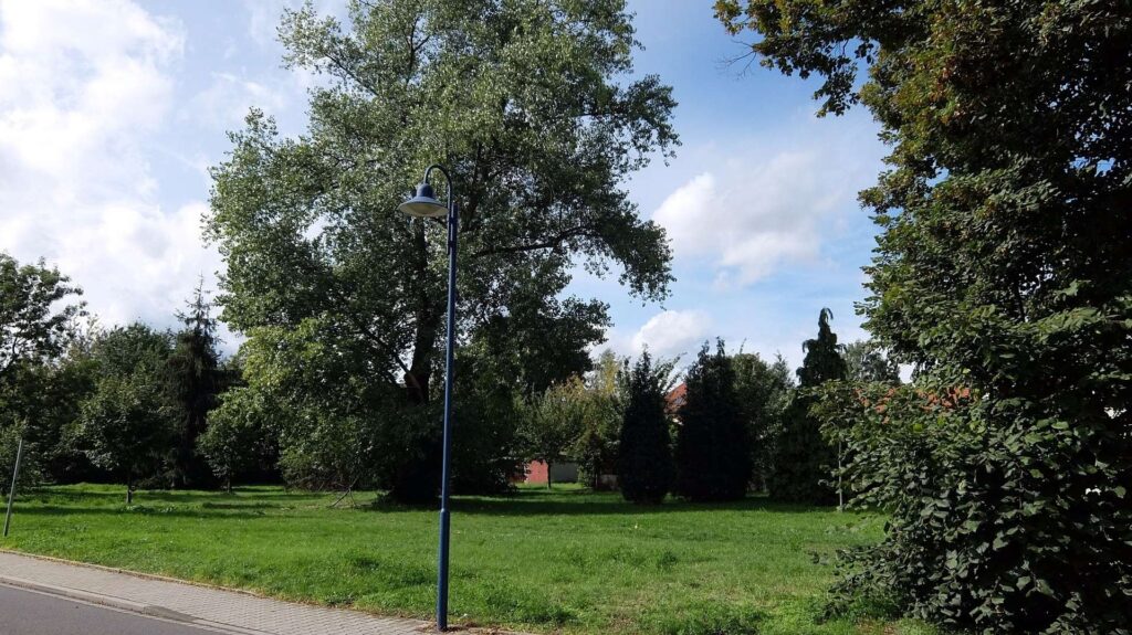 Grünfläche vor dem Objekt