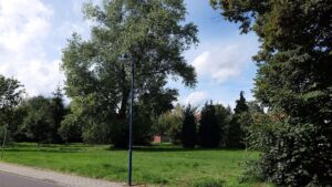 Grünfläche vor dem Objekt