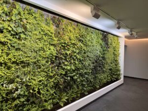 Grüne Wand