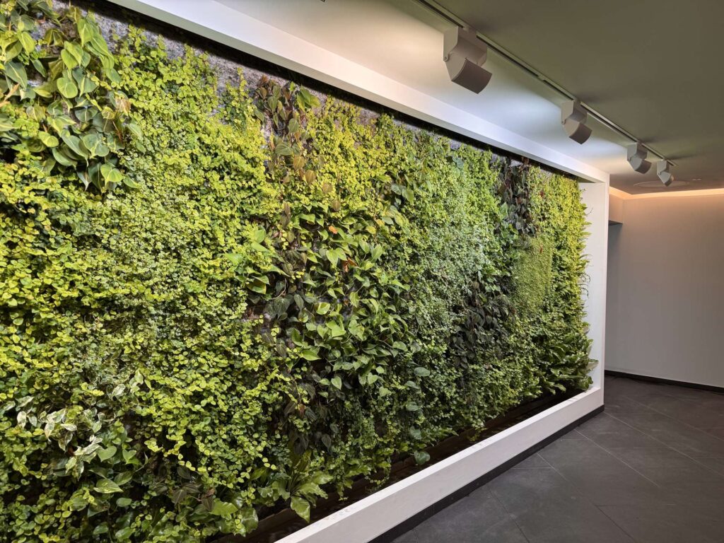 Grüne Wand
