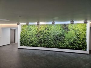 Beispiel repräsentativer Eingangsbereich