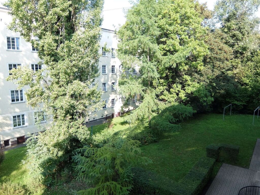 Grünfläche am Objekt