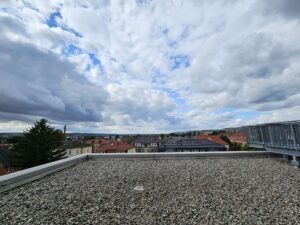 Ausblick