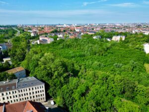 grüne Umgebung