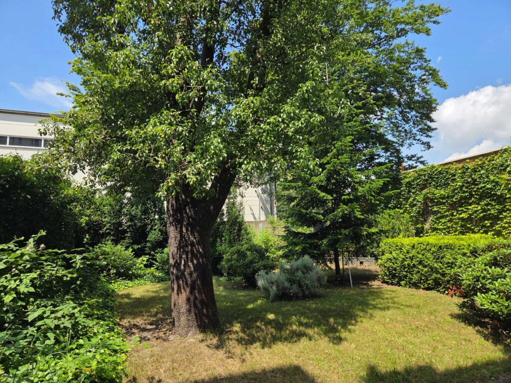Innenhof