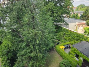 Blick Balkon