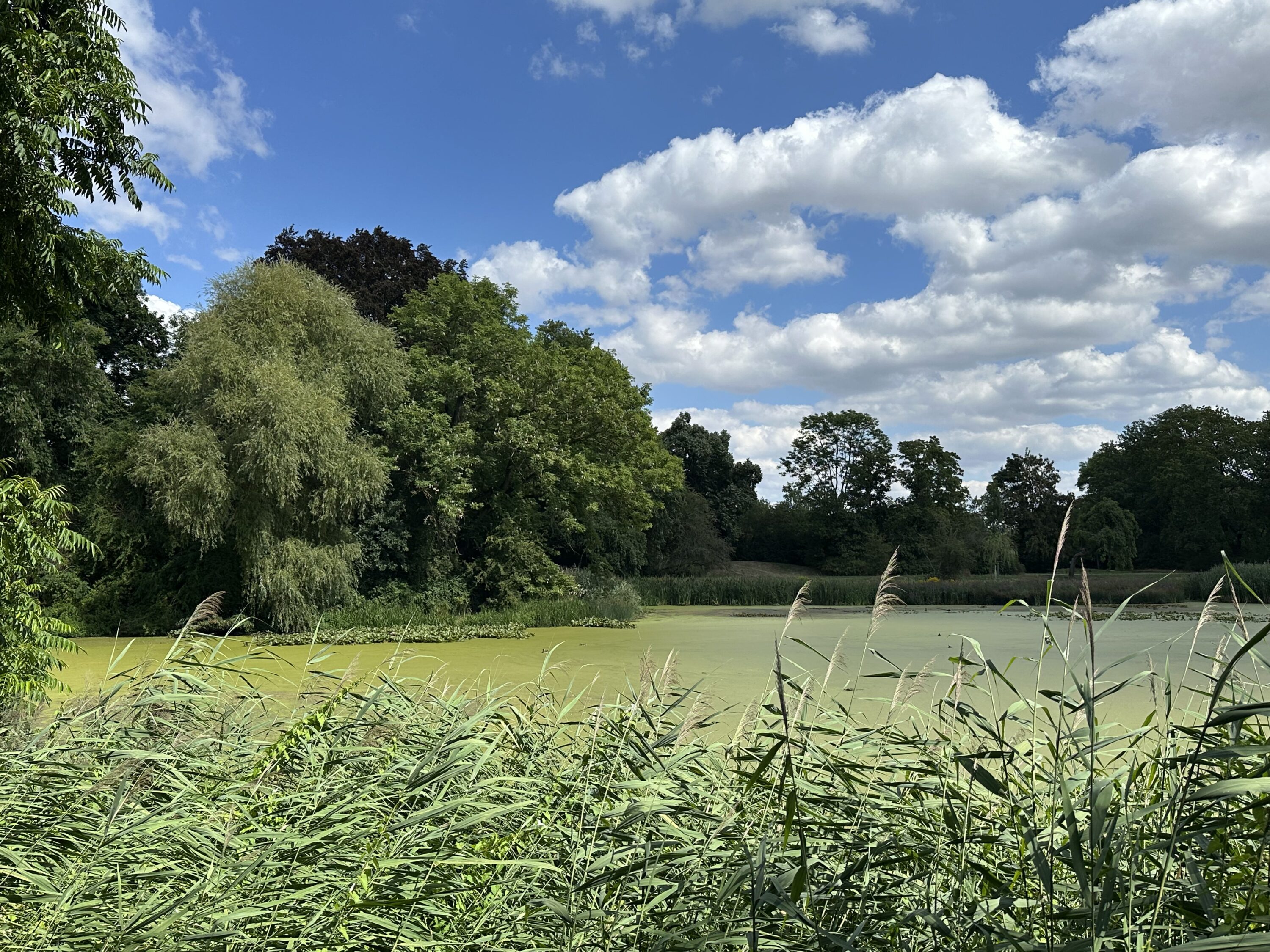Stuenzer Park