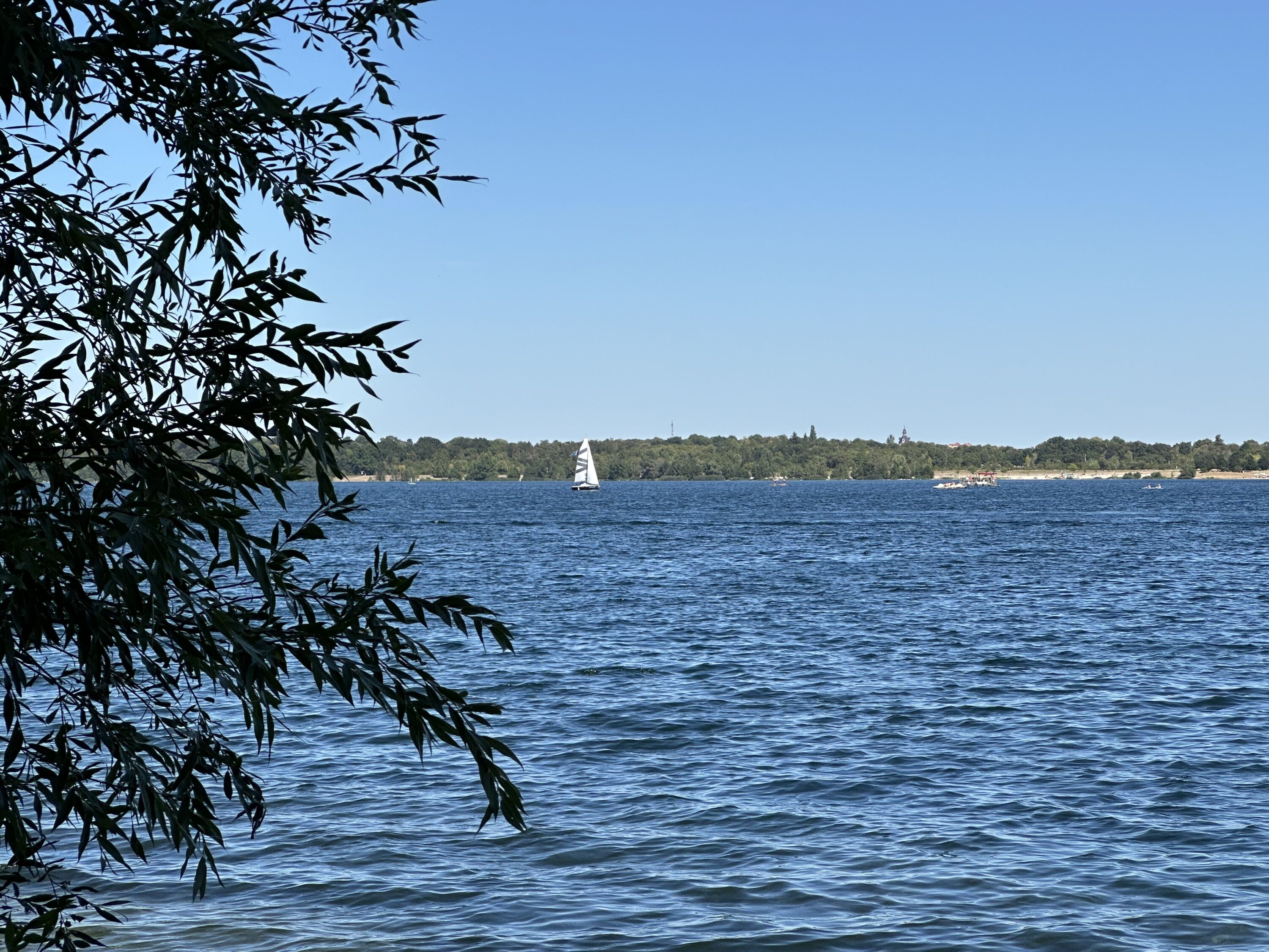 Weststrand Cospudener See 6