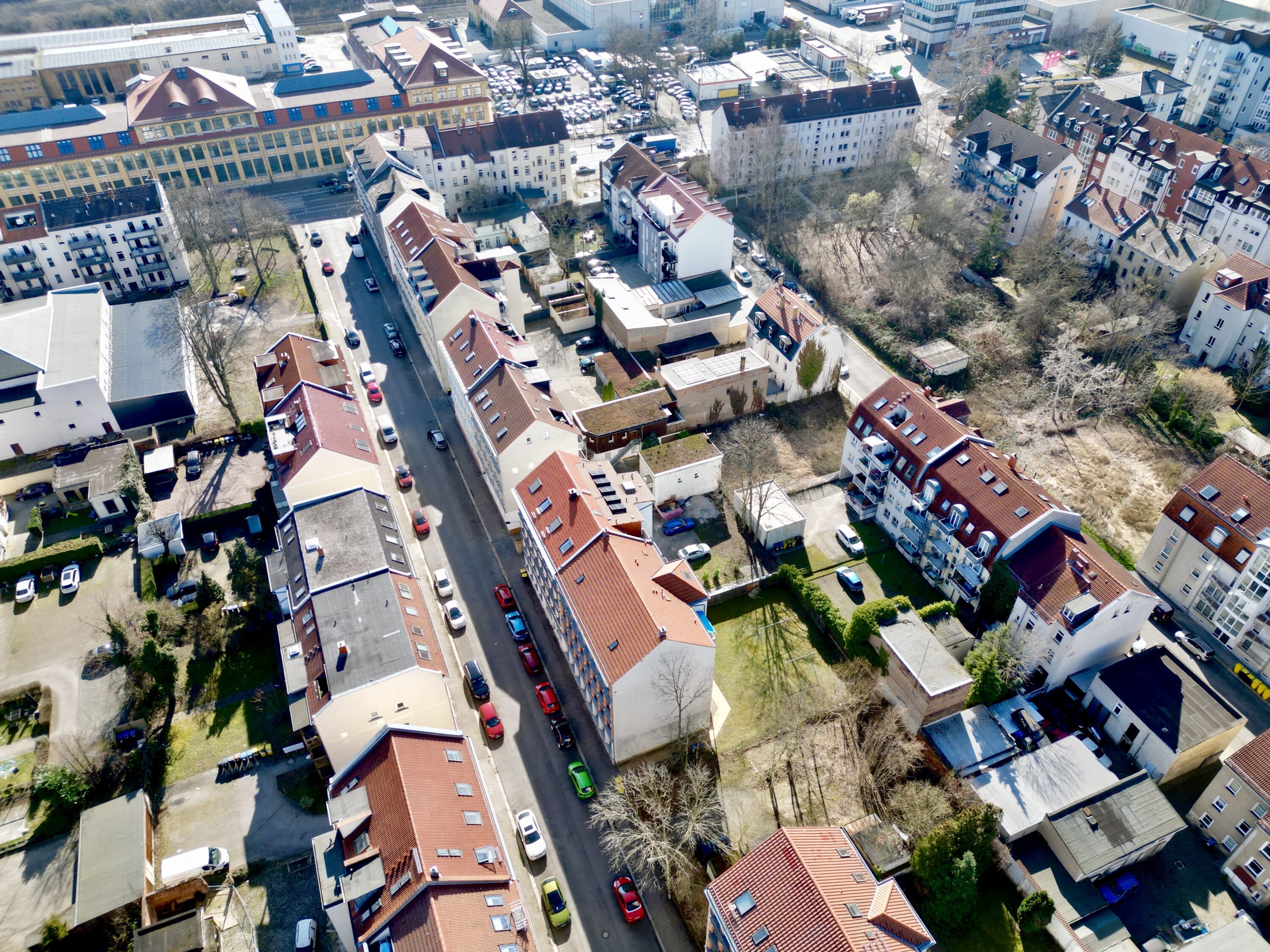 dji fly 20260307 143946 106 1772817554646 photo